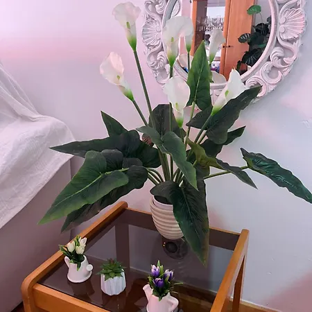 La Casita De La Piscina 아데제